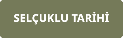 tarih-arastirmalari-selcuklu-tarihi